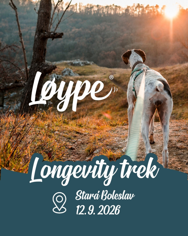 Loype Longevity Trek